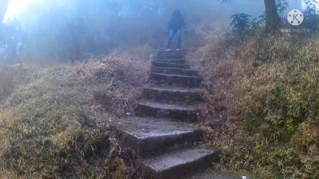 Sonada Fursat Farm Stay Enjoyment || Bonfire Night || Darjeeling || দার্জিলিং || Part - 3 смотреть онлайн