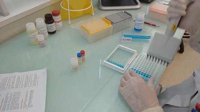 IDvet tutorial: How to perform an ELISA test (protocol for poultry testing) смотреть онлайн