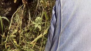 МЕТАЛЛОКОП С AR 944M