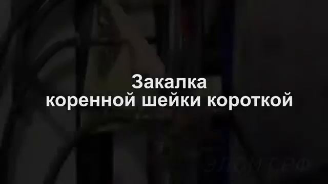Закалка зубчатого венца смотреть онлайн