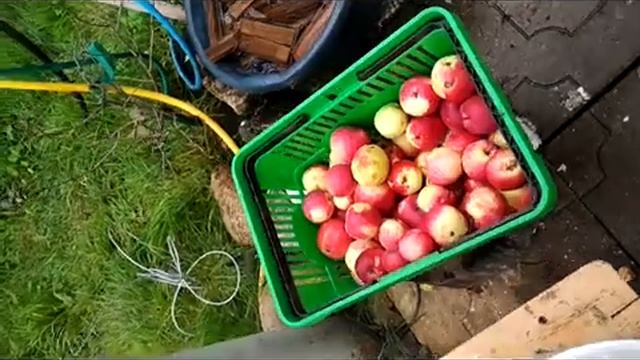 Соковыжималка салют смотреть онлайн