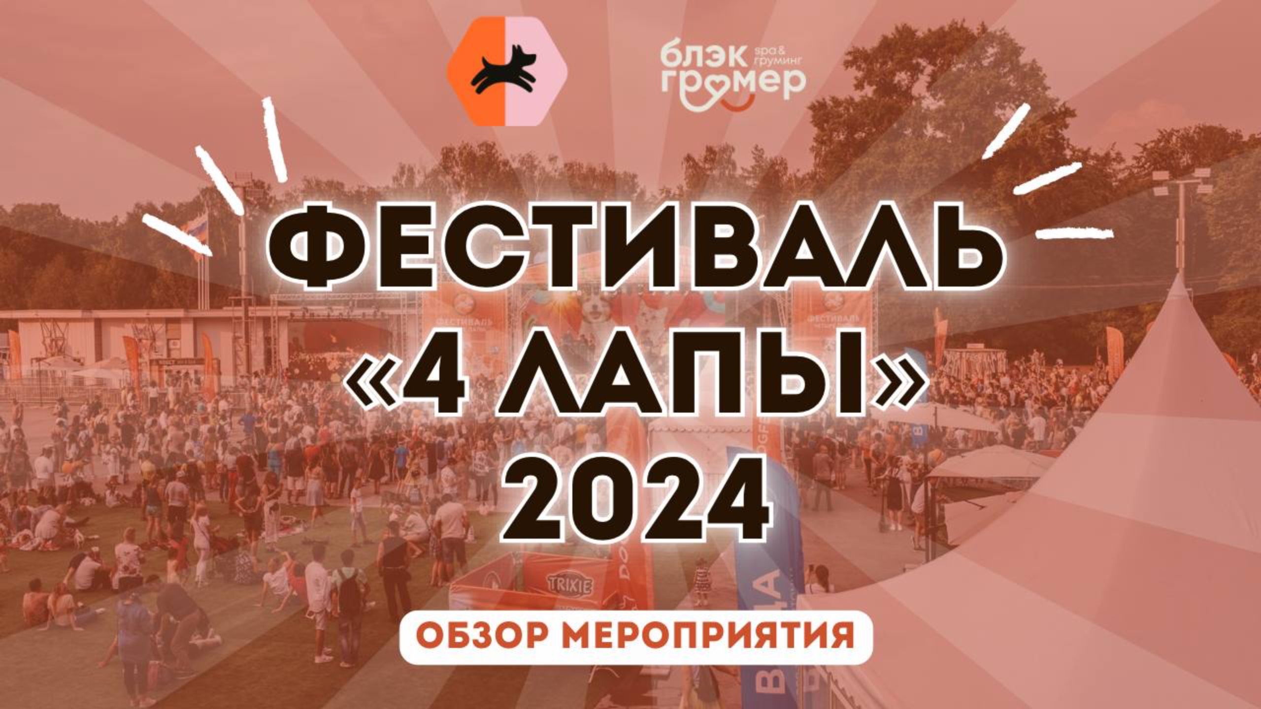 Обзор на фестиваль 4 лапы в Москве