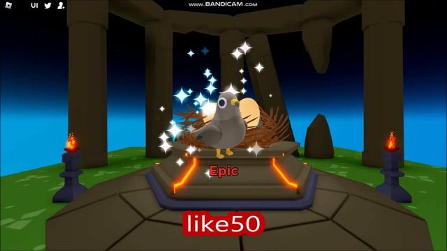*ALL CODES WORK* [2023?] Flappy Bird Race ROBLOX | January 18, 2023 смотреть онлайн