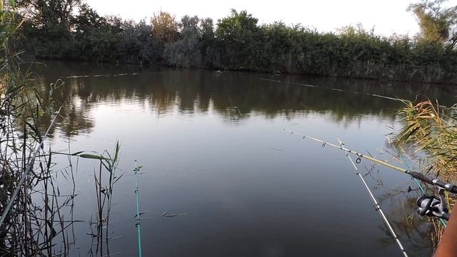 Кораблик для рыбалки flytec в действии смотреть онлайн