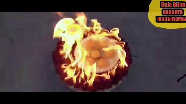 #Лайфках как готовить яичницу смотреть онлайн