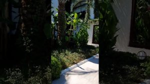 Emelda Sun Club 5* Турция, Кемер, Чамьюва. Обзор территории