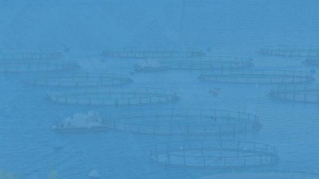 Journal of Aquaculture in the Tropics | Journals | Prints Publications смотреть онлайн