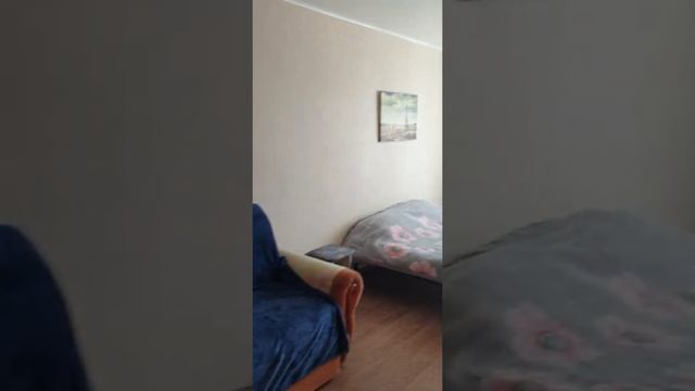 1к. квартира г. Хабаровск ул. Даниловского д.29 смотреть онлайн