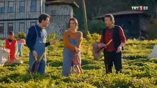 Ногайский чай. Реклама на турецком телевидении! смотреть онлайн