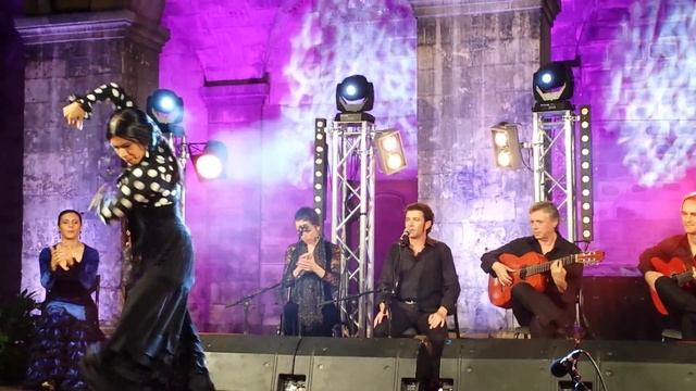 Flamenco Alejandra Gonzalez смотреть онлайн