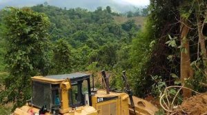 Бульдозер - CAT D7R убирает деревья.