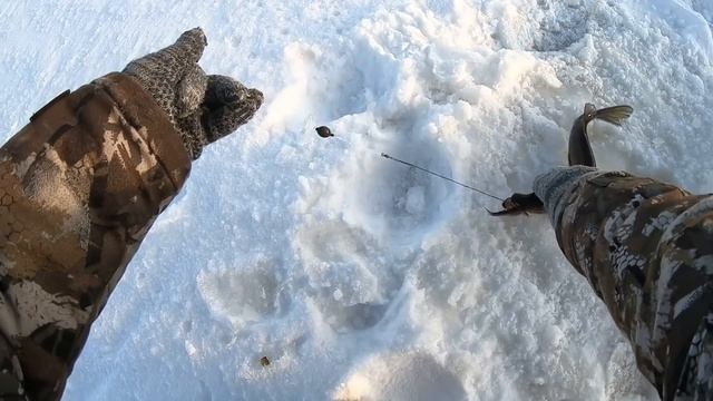 РЫБАЛКА В МОРОЗ! ДАЛЬНЕЕ ЩУЧЬЕ ОЗЕРО ПОКОРЯЛИ НА СНЕГОХОДЕ! ЛЮБИМАЯ ЗИМНЯЯ РЫБАЛКА, ТЯНЕТ В ДЕБРИ! смотреть онлайн
