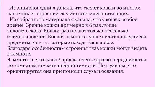 Научно исследовательский проект Кошки смотреть онлайн
