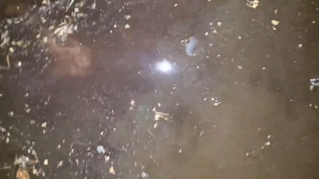 podkapaev. д.Николо Прозорово , 12-14 лет спустя , наш колодец. смотреть онлайн