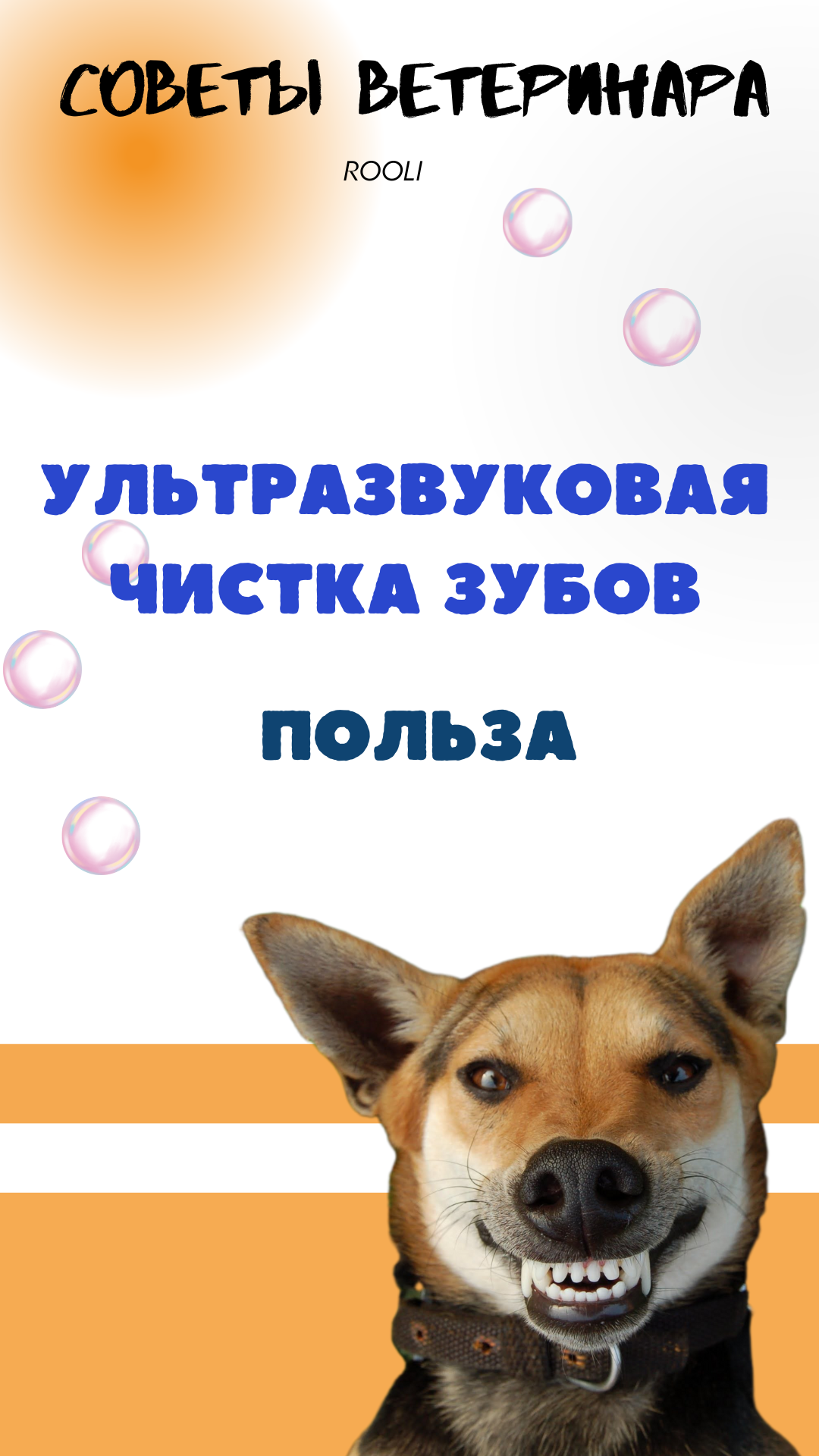 Ультразвуковая чистка зубов собаке. Преимущества истки зубов собаке. смотреть онлайн