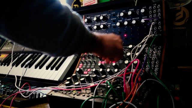 Hold up the Sky - Moog Sound Studio and Grandmother Jam смотреть онлайн