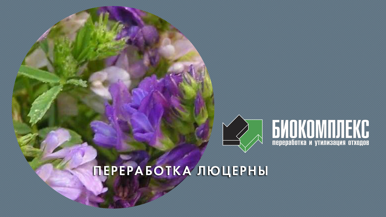 Переработка люцерны смотреть онлайн