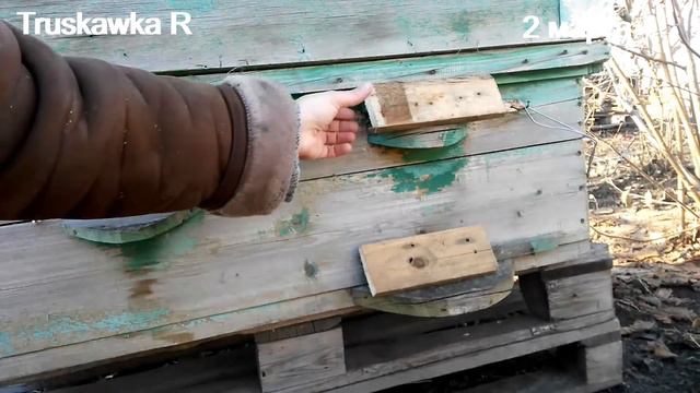 Как не дать пчёлам замёрзнуть при ране весеннем облёте. Сохранить пчелу от потерь. смотреть онлайн