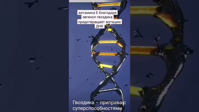 Гвоздика- приправа с суперспособностями смотреть онлайн