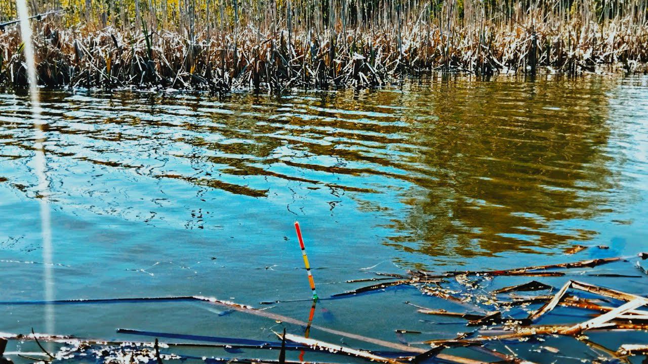 Рыбалка в ручье закинул удочку и поймал. смотреть онлайн