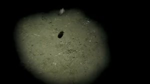 Ария - Осколок льда - (2002)