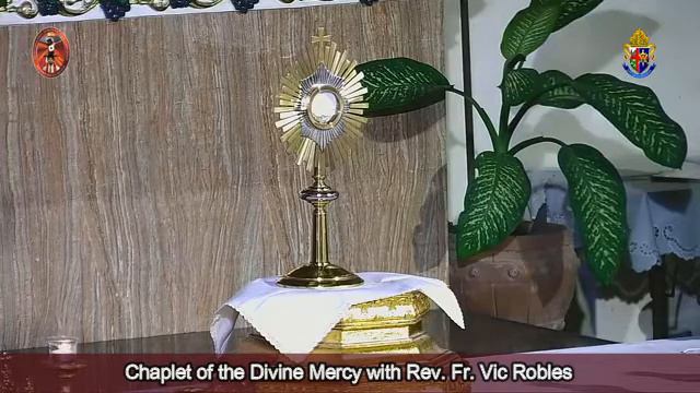 Chaplet of the Divine Mercy and Benediction of the Blessed Sacrament - December 7, 2020 смотреть онлайн