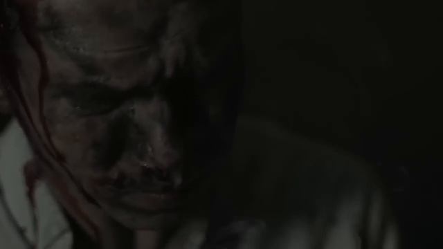 Nie będziemy przepraszać! Z dedykacją dla Agnieszki Holland смотреть онлайн