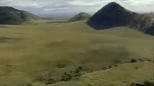 Savanna vid1 смотреть онлайн