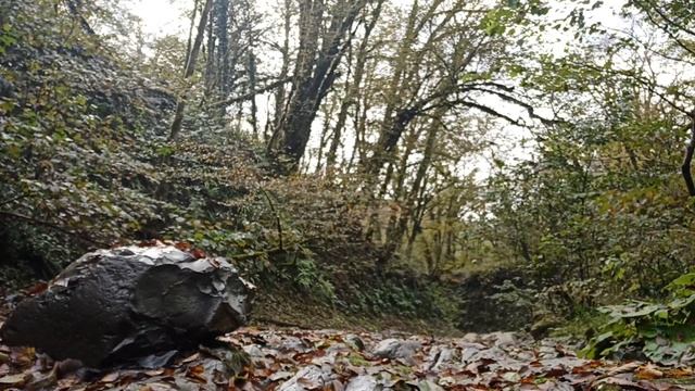 Медитация солнечного и лунного затмения