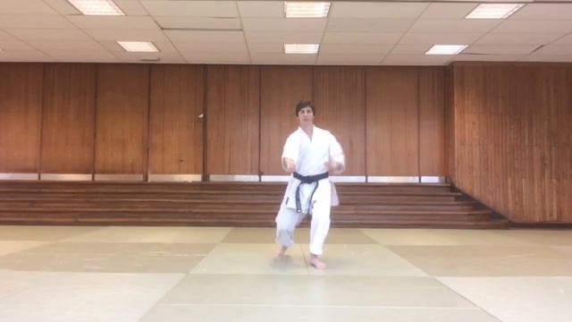 Karate for Beginners #58 - Hip movement dynamic in a fragment of Kata Jion смотреть онлайн