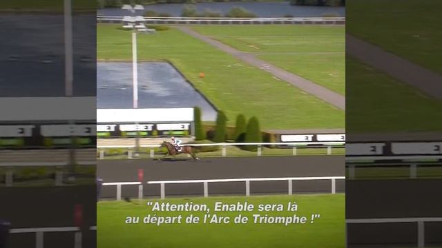 L'histoire d'Enable, la Reine de l'Arc I Epoque Hippique I PMU смотреть онлайн