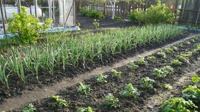 Как Увеличить Маленький Огород. смотреть онлайн