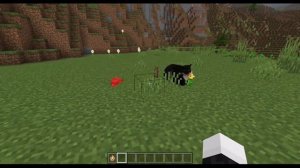 Maxwell the Cat - Minecraft Resource Pack