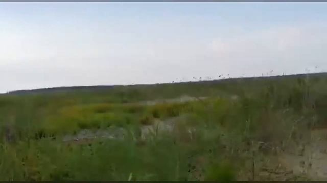 Небздящий 2М смотреть онлайн