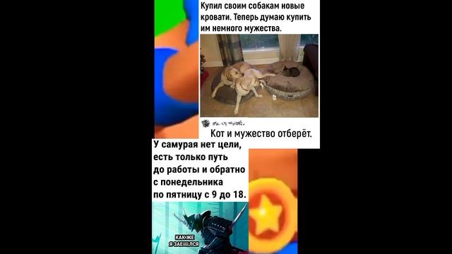 #мемы #анекдот Заходи. в наш телеграм канал: Опросъ:Shelbi смотреть онлайн