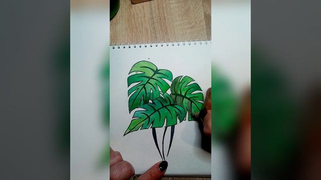 Рисуем листья для #цветоябрь2020 #зеленыелистья #листья #зеленый смотреть онлайн