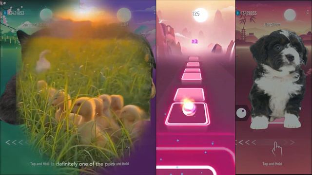 Cute Cat-Shakira Waka Waka-Cute Dogs-Lady Gaga Bloody Mary-Bongo Dog Despacito -Tiles Hop EDM Rush смотреть онлайн