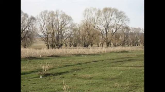 Моя Родина смотреть онлайн