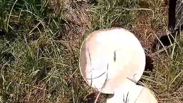 VID 20150705 110818 смотреть онлайн