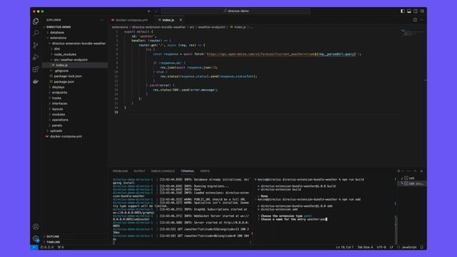 Build Directus Panel Extensions With External Data смотреть онлайн