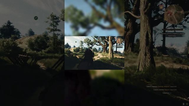 Ведьмак 3: Дикая Охота / НА КОНЕ! / #shorts