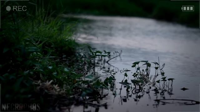 Страшные истории на ночь - ДЕТСКИЙ ЛАГЕРЬ В ЛИТВЕ - Ужасы Мистика Криповые Страшилки Scary Stories смотреть онлайн