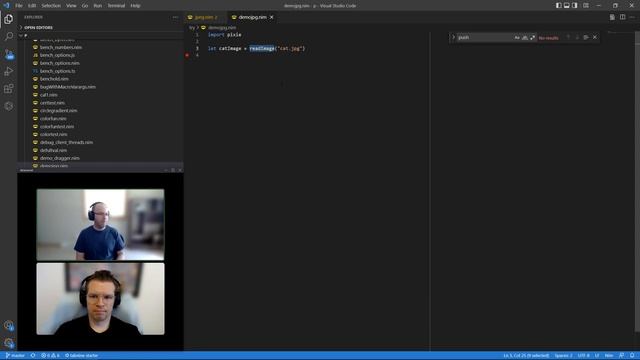 Loading JPEGs in Nim using Pixie смотреть онлайн