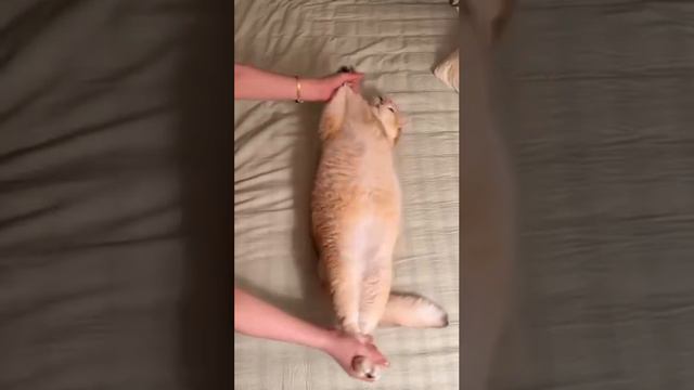 Месят тесто для хлеба смотреть онлайн