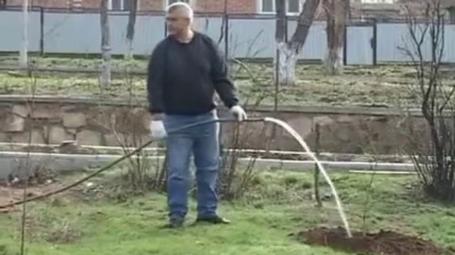 День древонасаждений в Милютинской смотреть онлайн