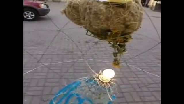 Репульсин на выставке город-сад. Зеленый урбанизм. смотреть онлайн