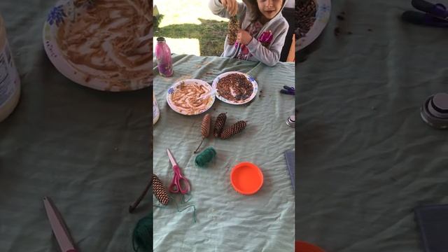 Craft: Wildlife/Bird Feeders смотреть онлайн