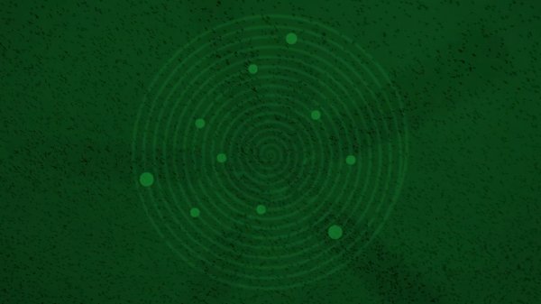 ROBERT REEG - Black Birds Stirred