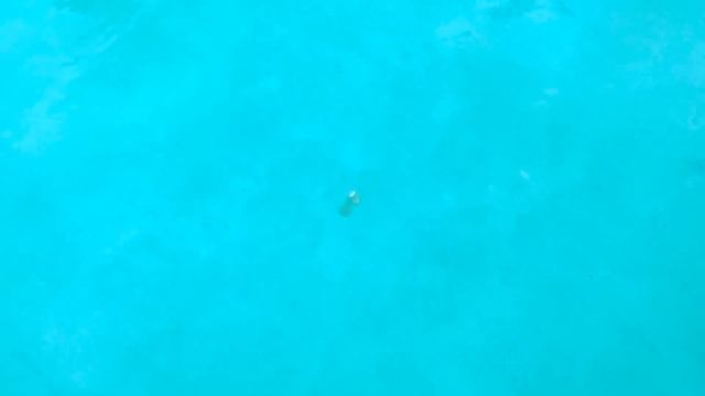 Настя новые серии для детей от Настя Артем Мия про активные игры смотреть онлайн