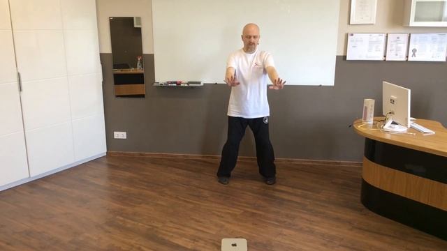 Чэньши Тайцзицюань. Подготовительная Позиция (ю бей ши). смотреть онлайн